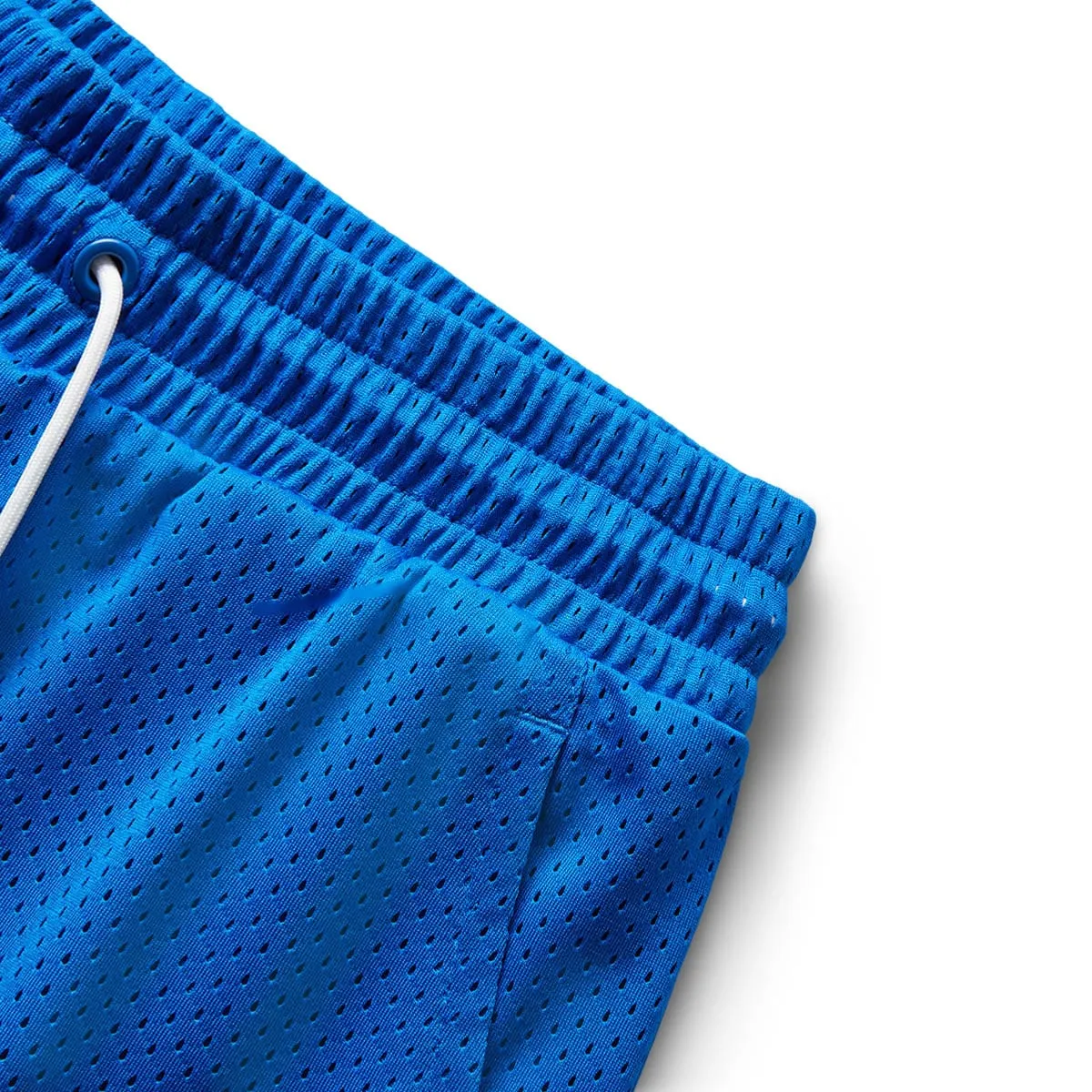 EVERYDAY HUSSLE MESH SHORT PUMA ROYAL | Bodega