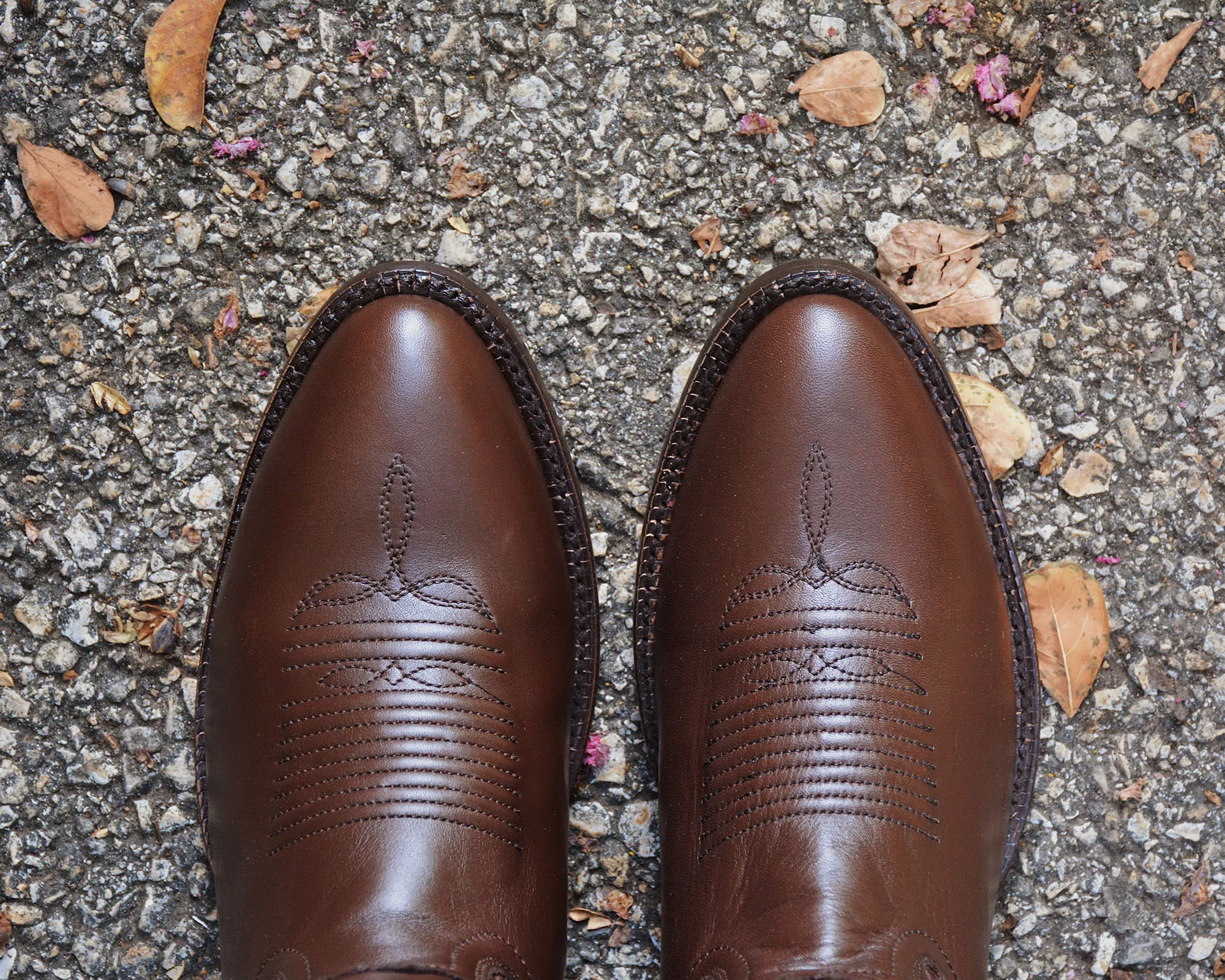 Men Caravan Calfskin Chestnut Western Boot